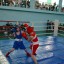 ​Турнир по боксу «Дети Севера» 39